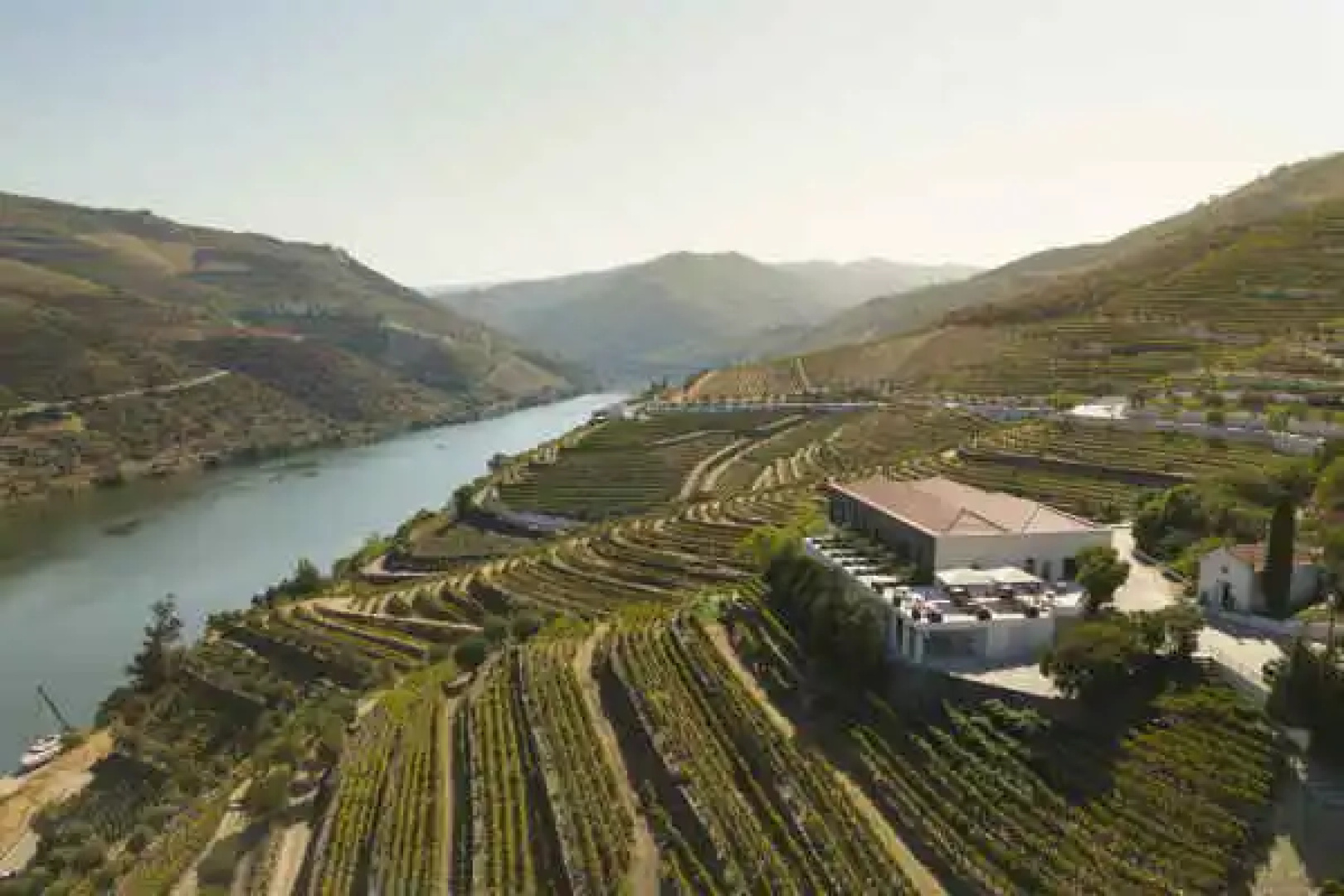 Quinta de São Luiz - The Vine House