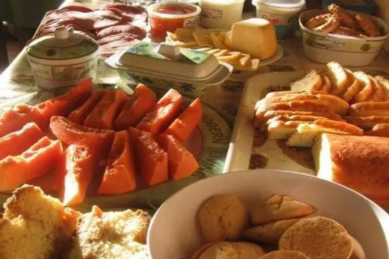 Refúgio da Floresta