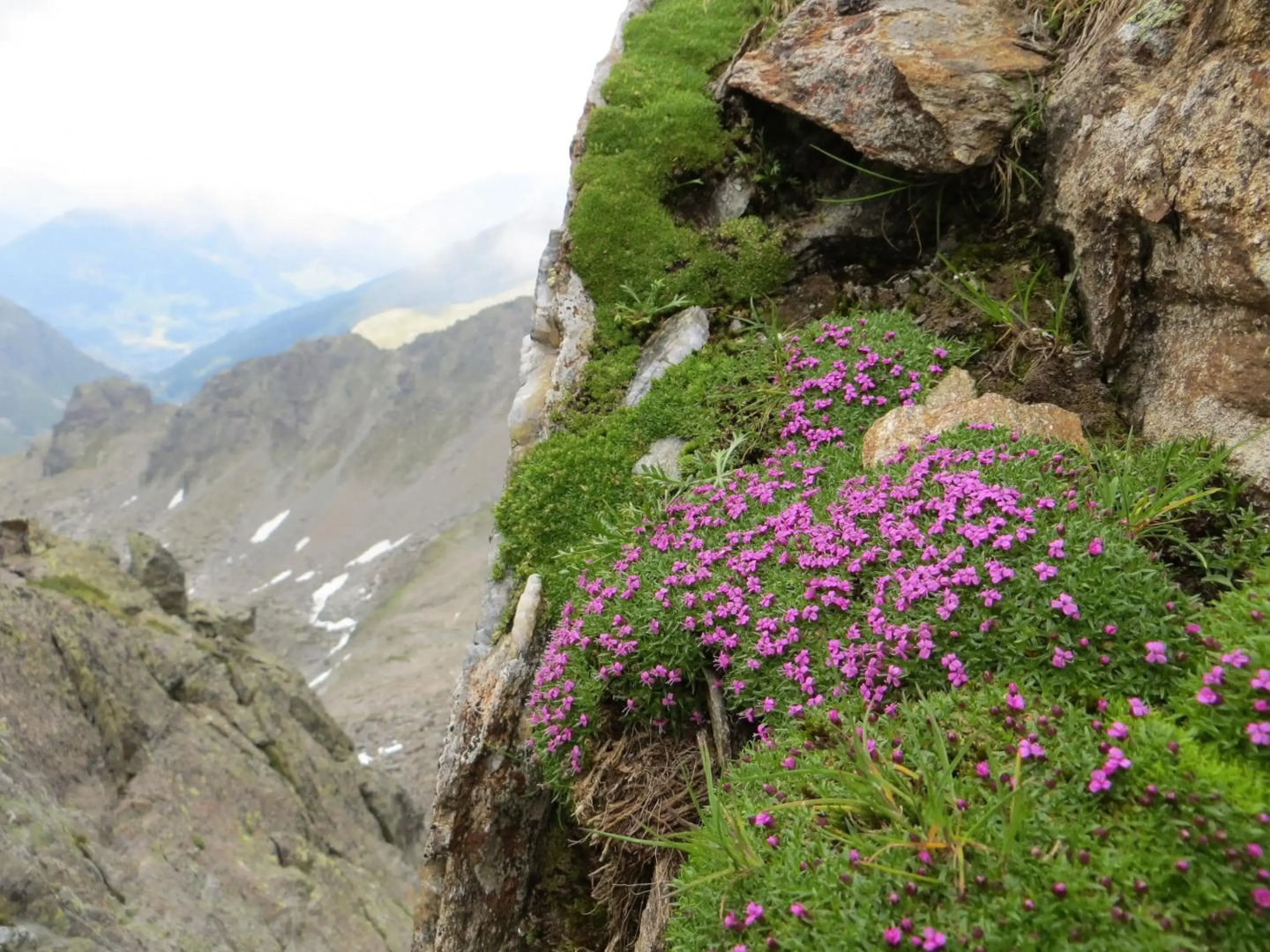 Hotel Jennys Schlössl