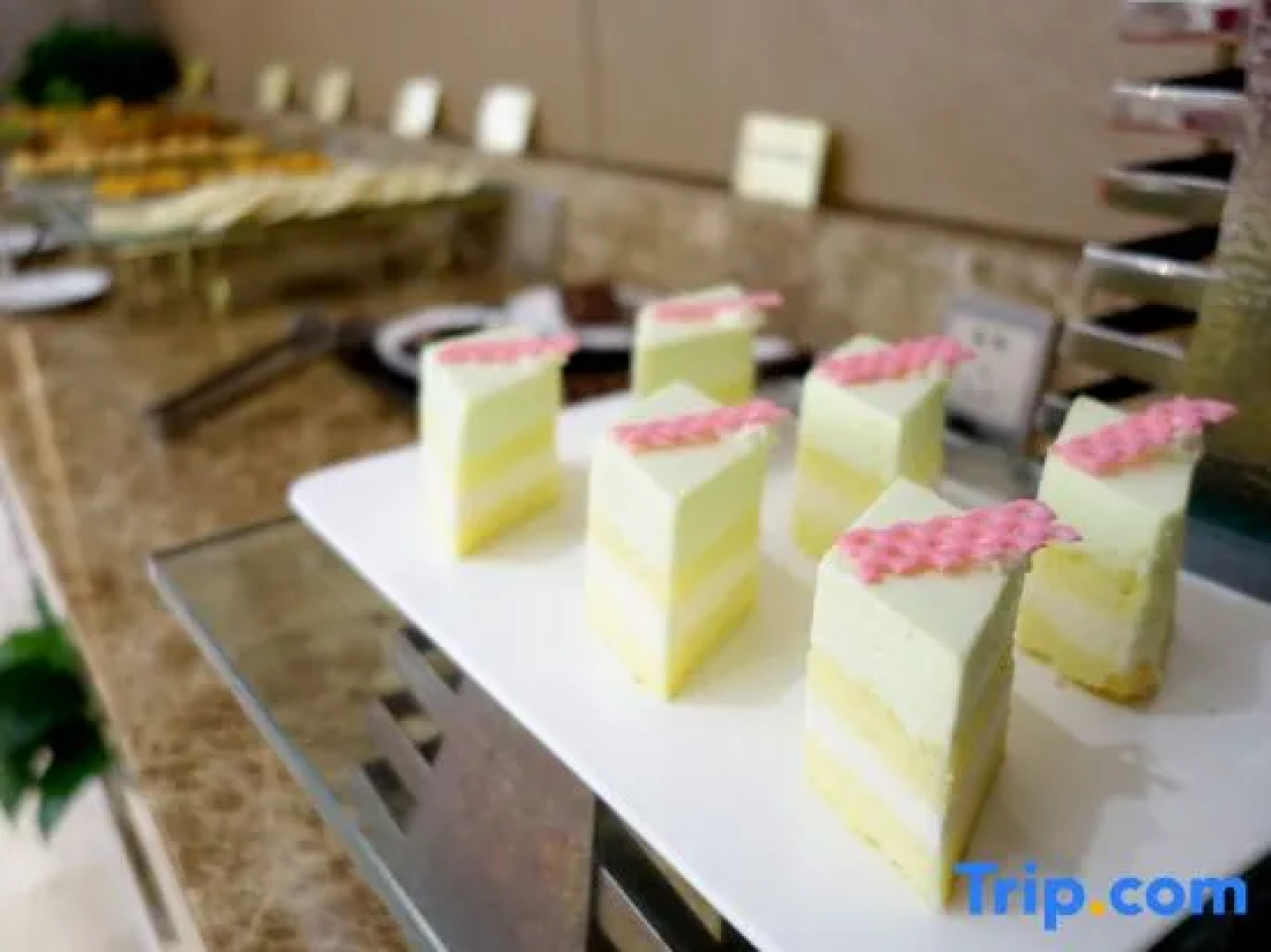 Ganzhou Gandian Hotel