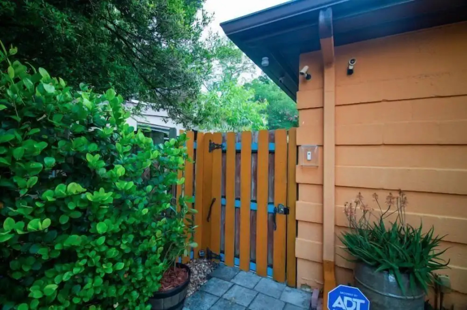 Wilton Way Orchid House