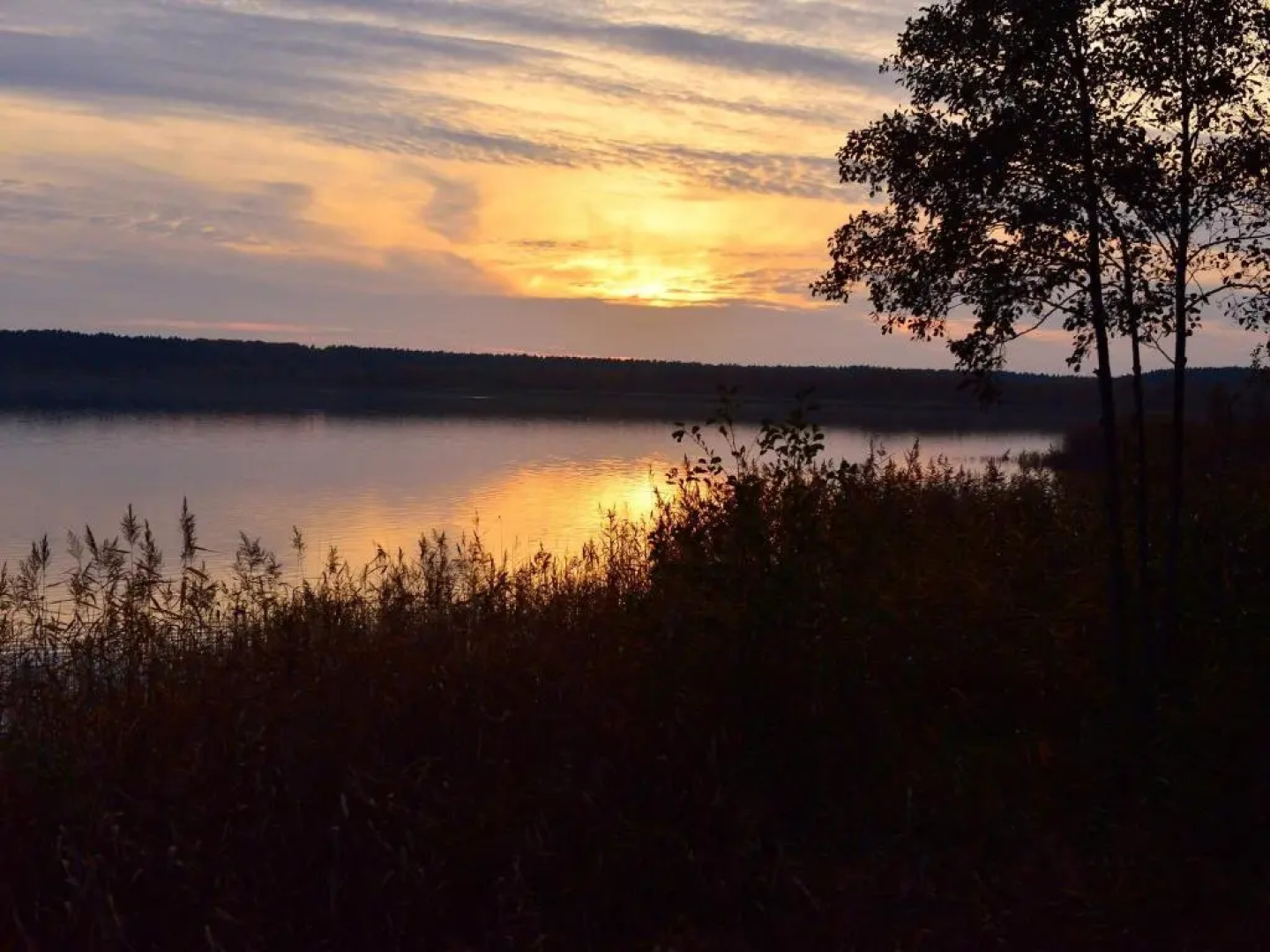 Nationalparkhotel Kranichrast