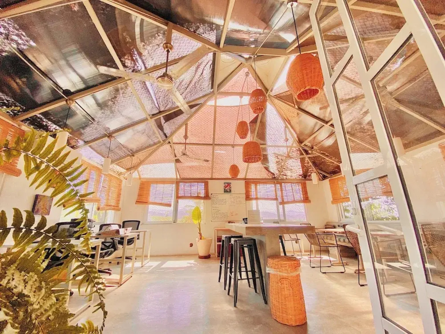 Perro Surfero Hotel Boutique - Todos Santos, BCS