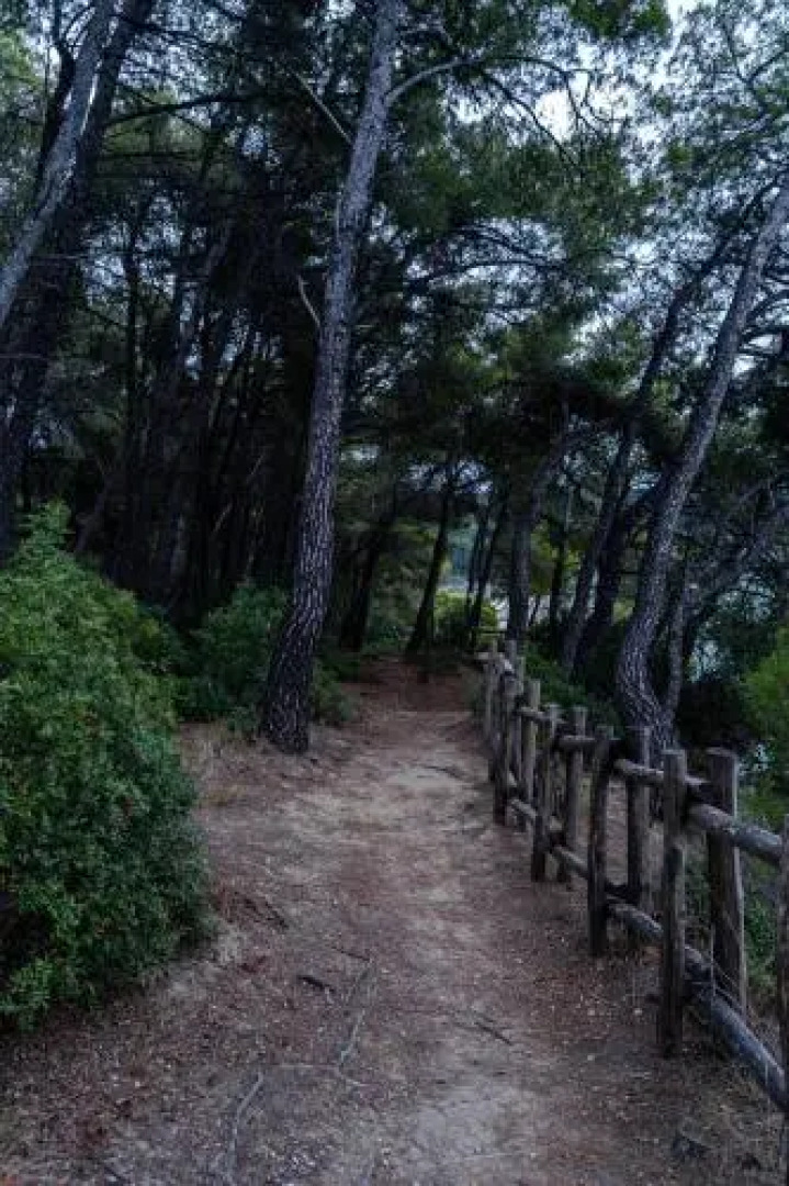 Sani Beach Forest Villa