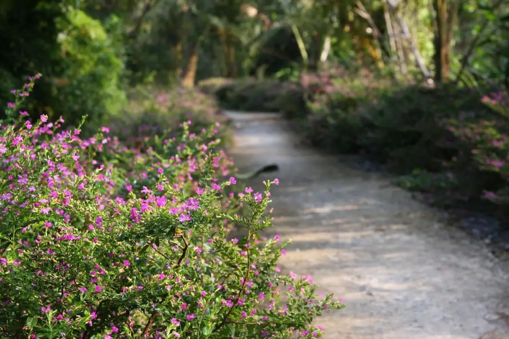 Mekong Rustic Cai Be