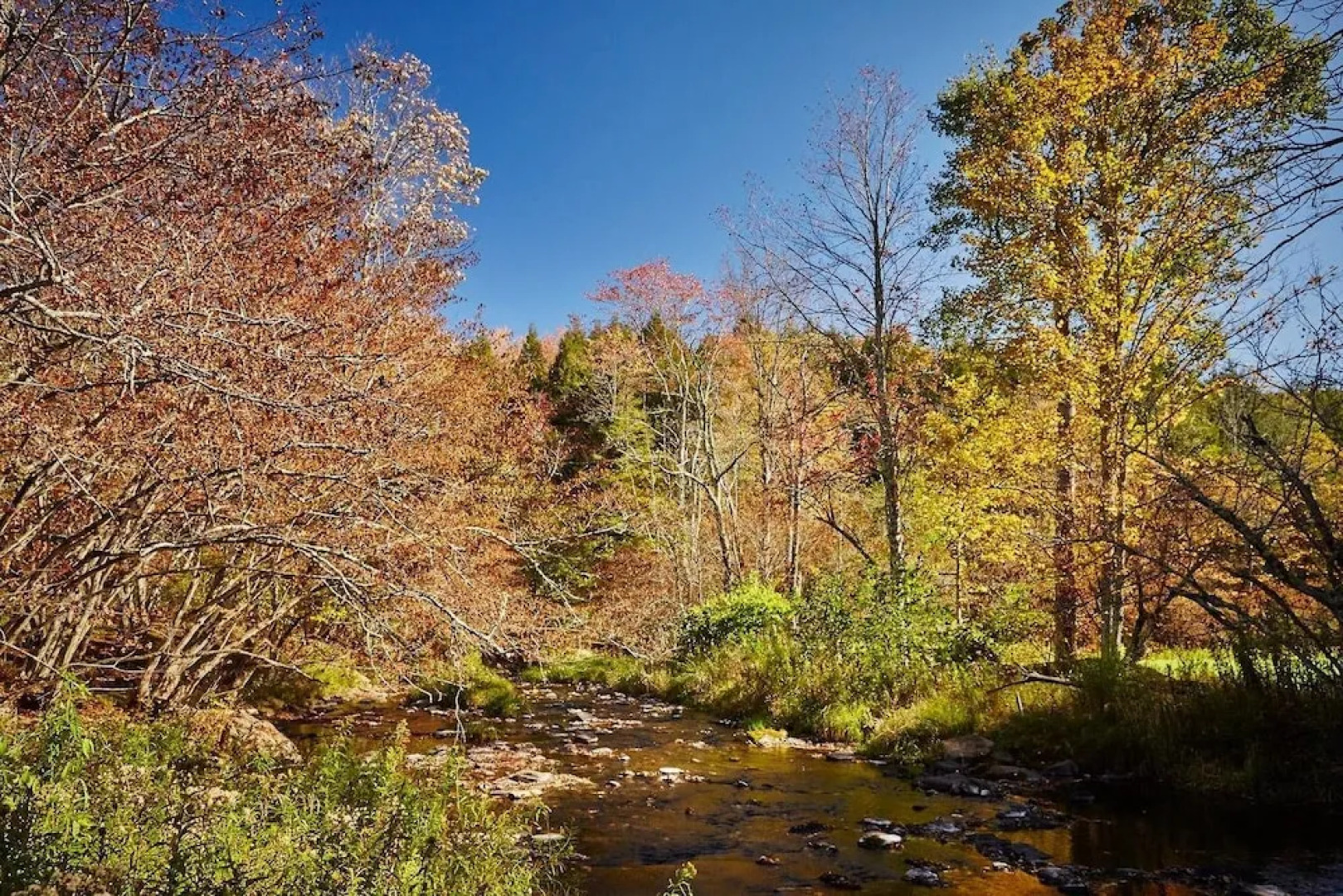 Tentrr - Terrapin Acres