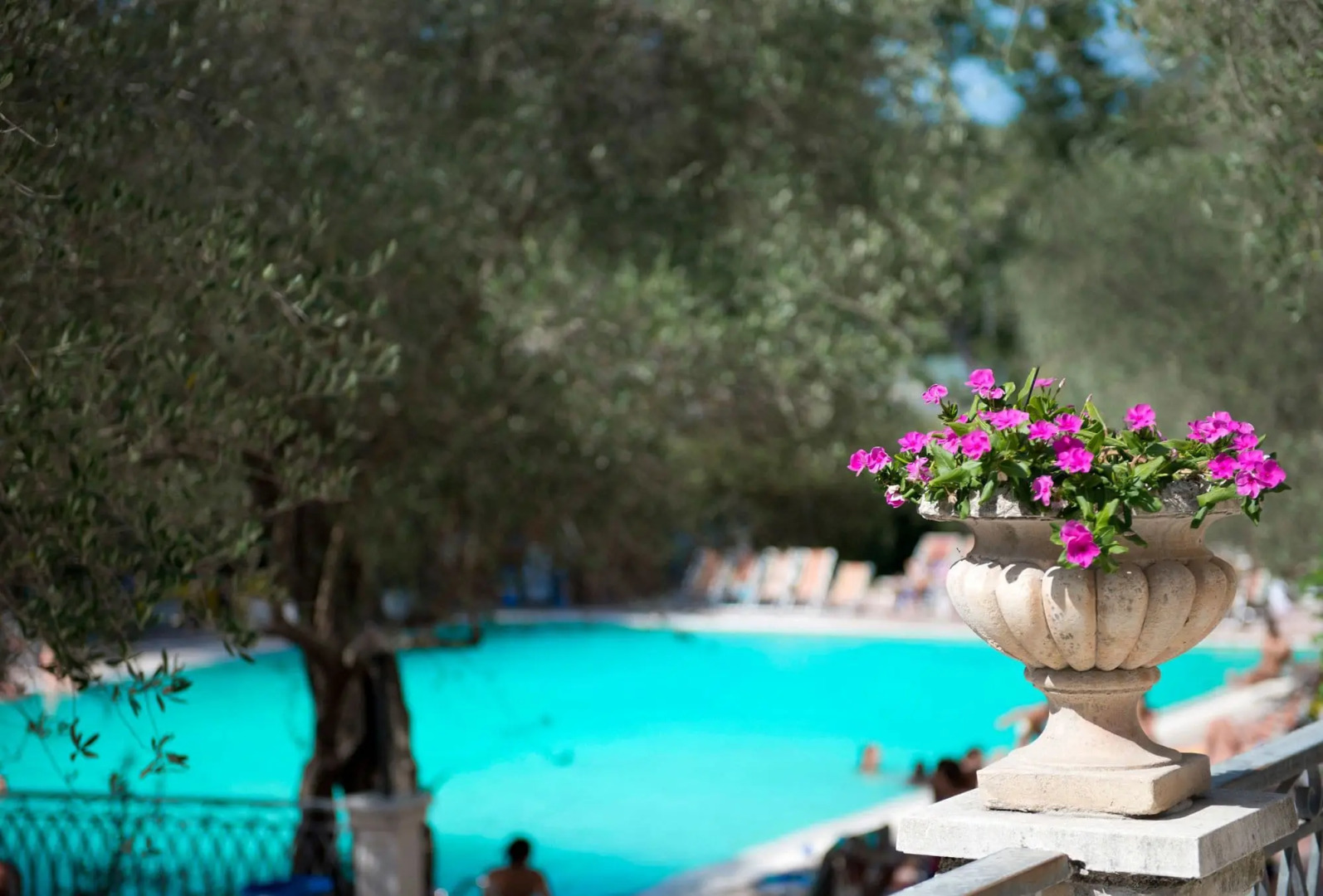 Albergo Terme Forlenza