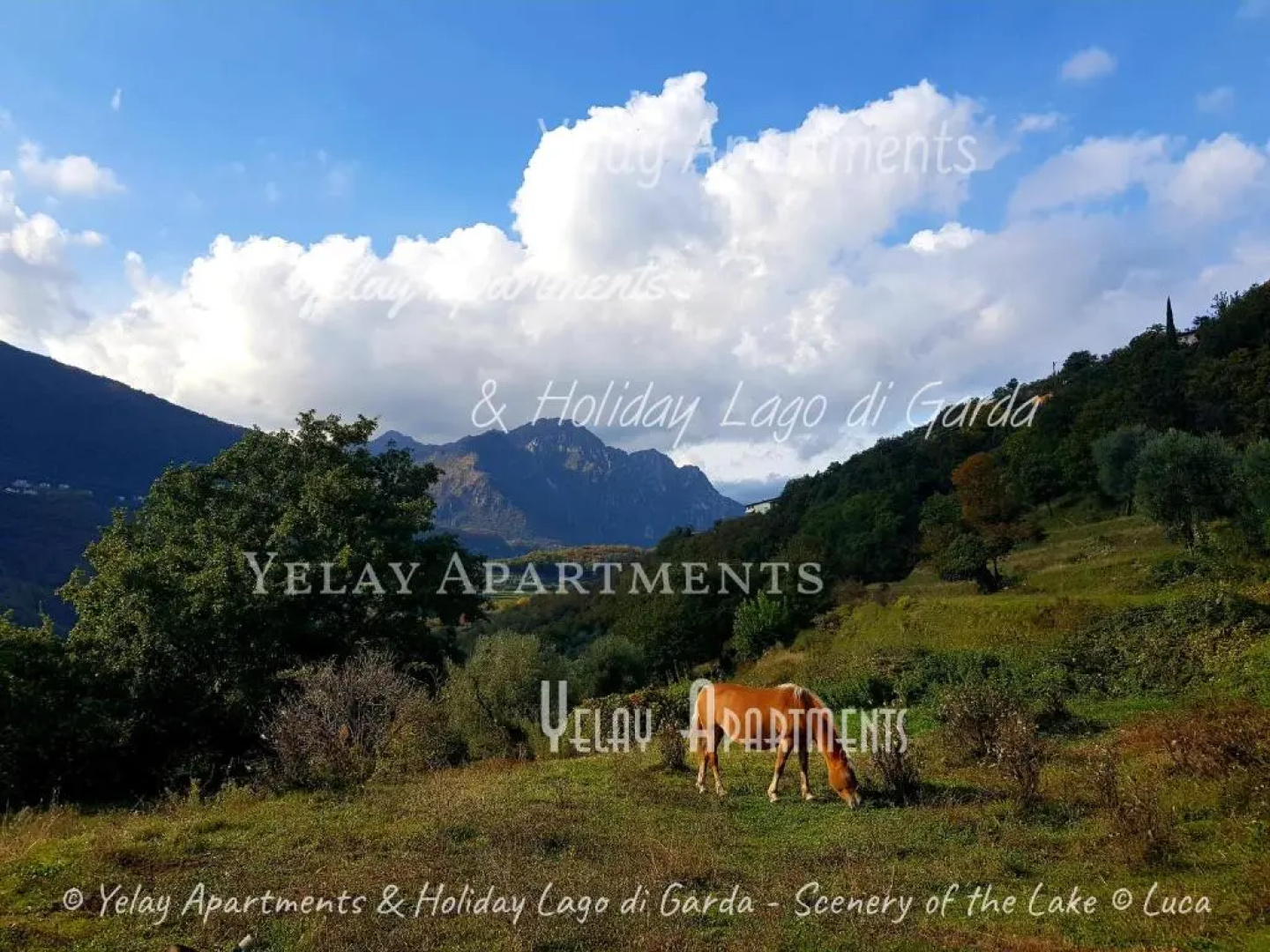 Yelay Apartments & Holiday Lago di Garda