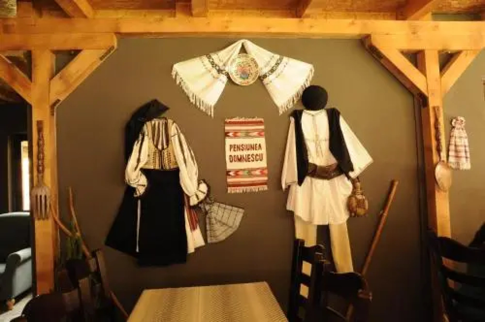Pensiunea Domnescu