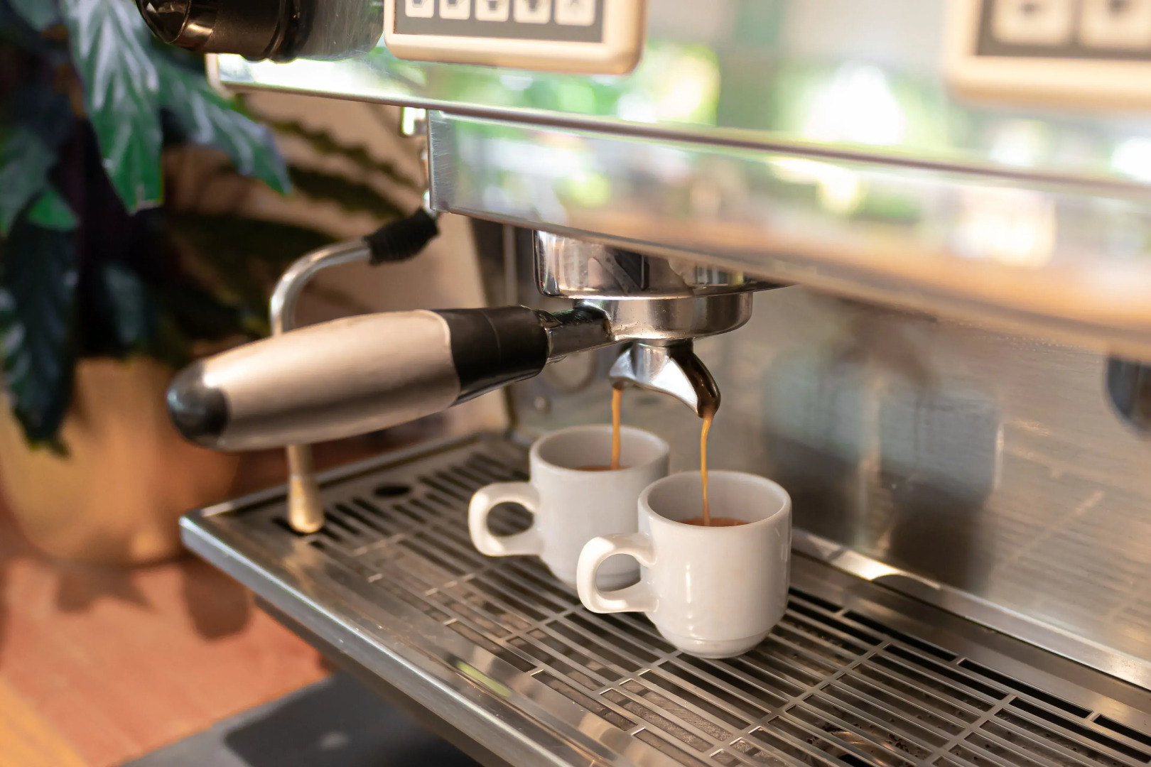 Résidence Hôtelière les Acanthes