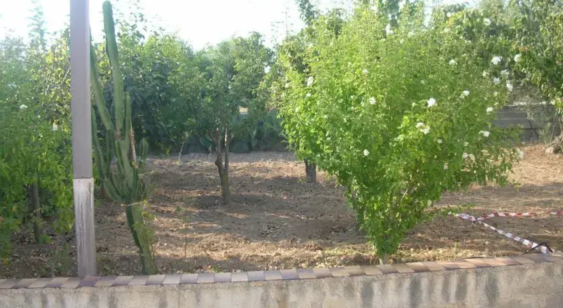 Frescura Tra i Carrubi