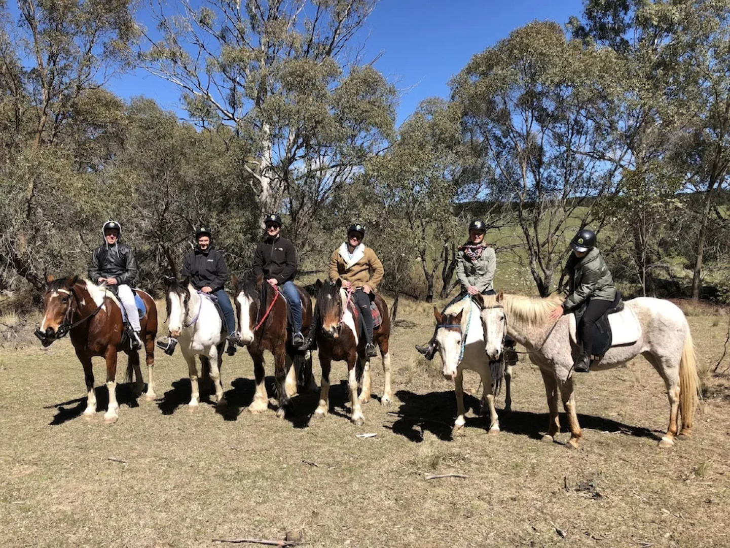 High Country Trail Rides & Farm Stay