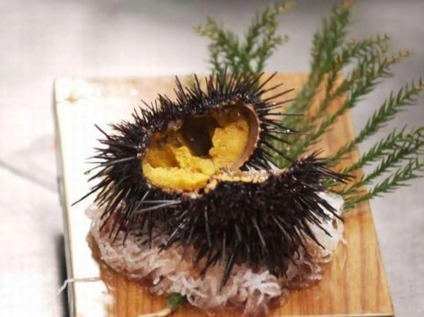 Ryusendo Onsen Hotel