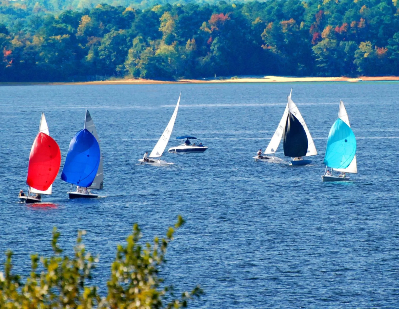 Hampton Inn Anderson