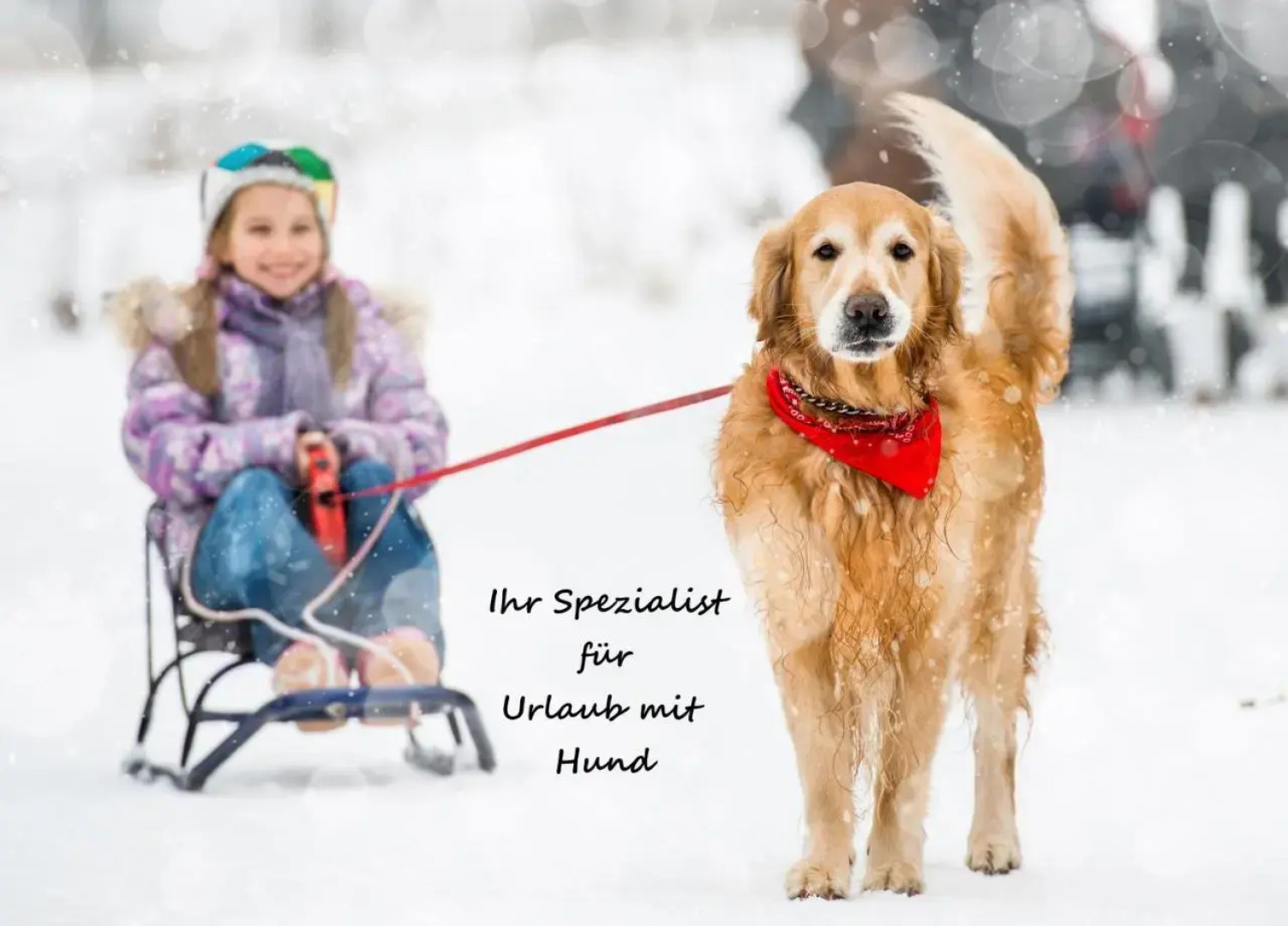 Landschützer's Country Suites