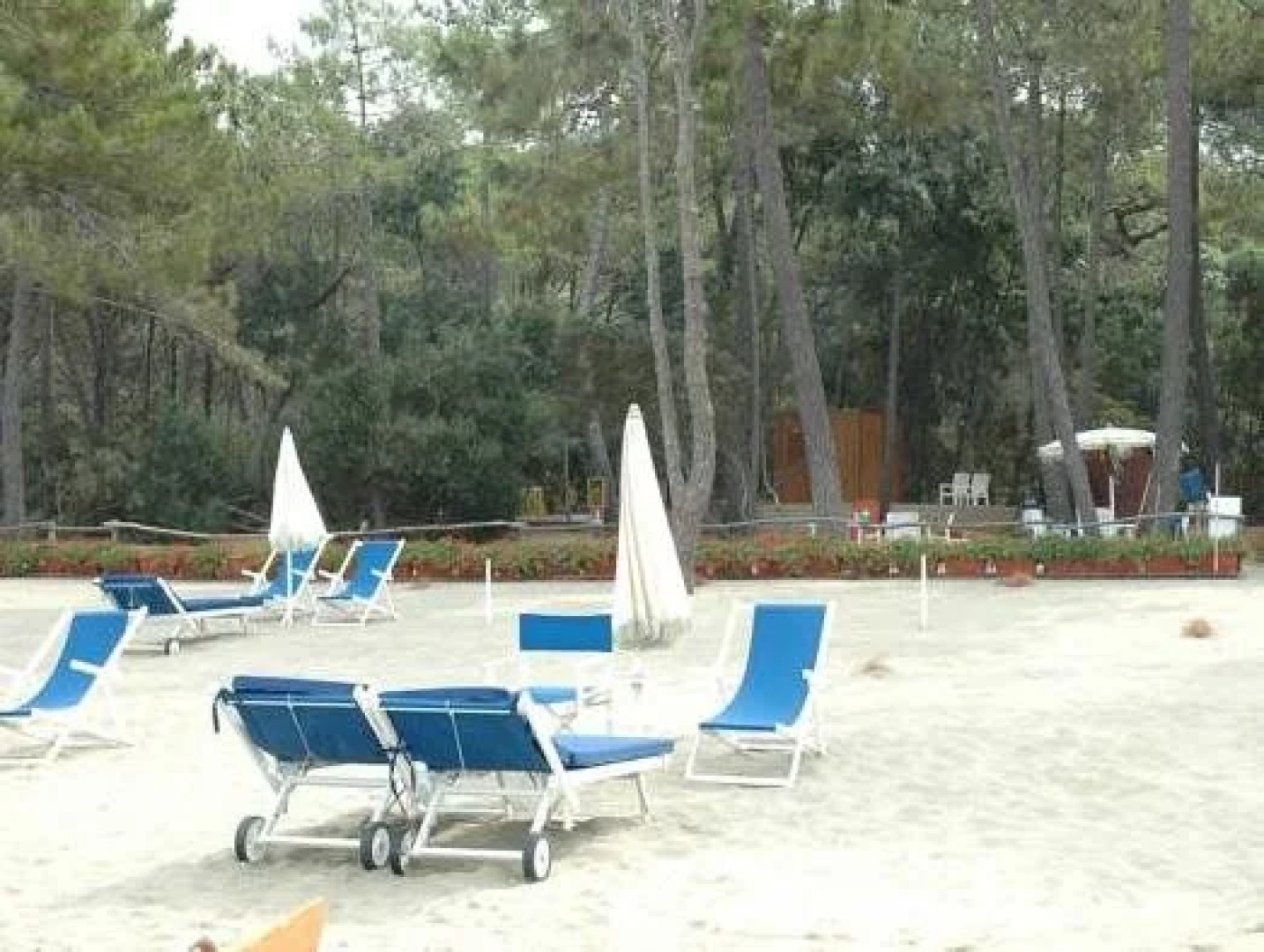 Residence Rex Lo Scoglietto