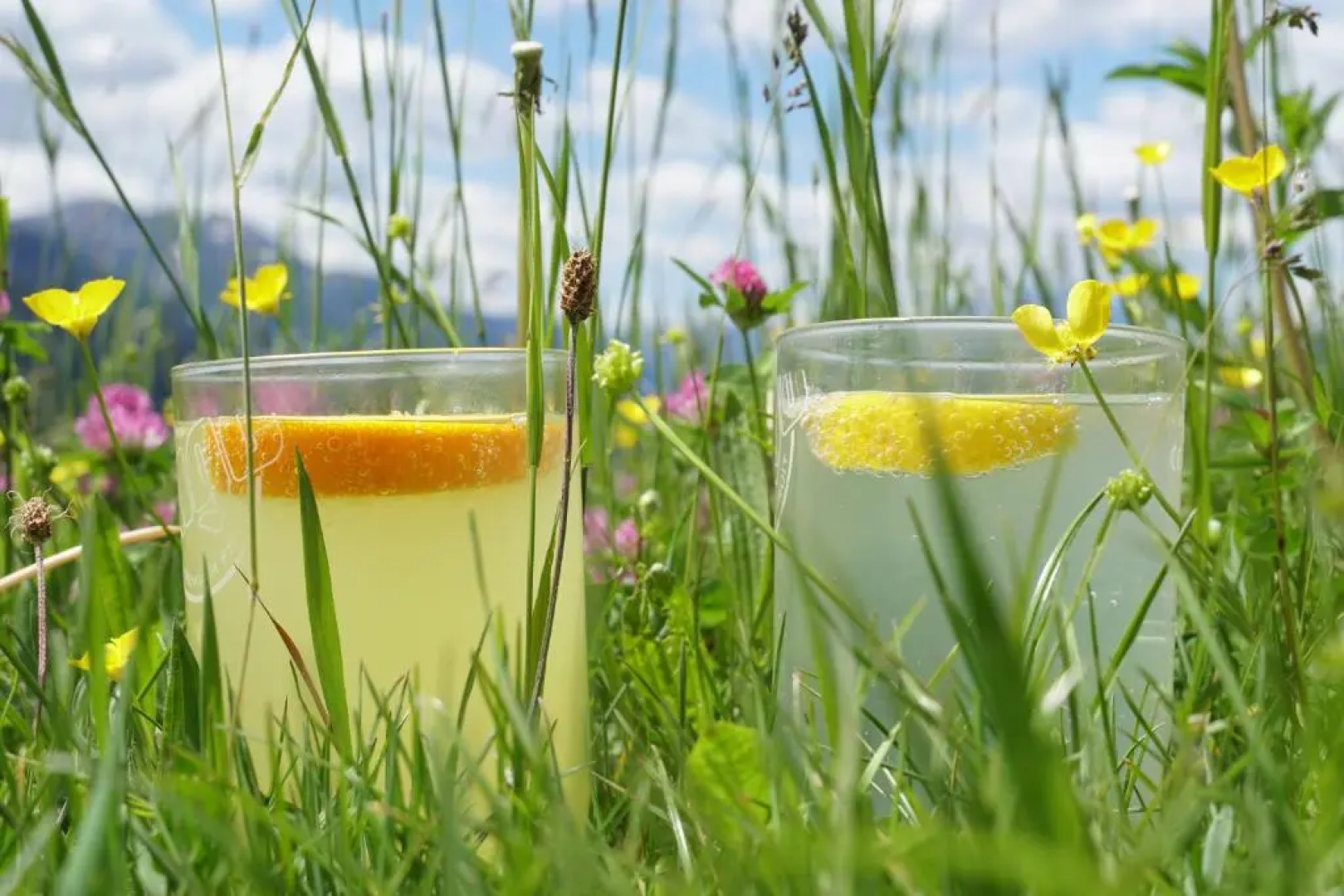 Erlebnishof Tschabitscher