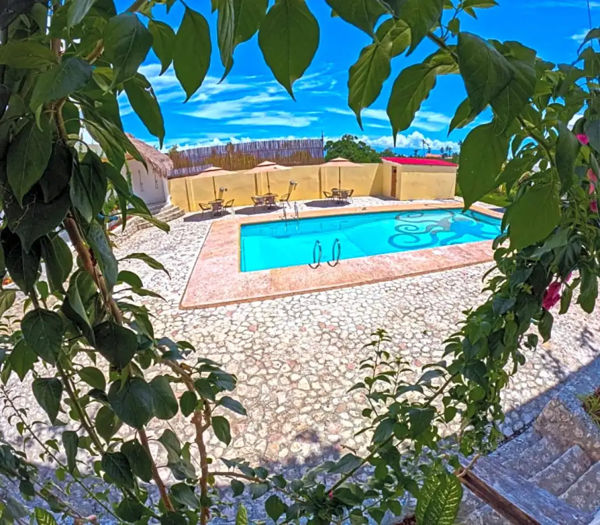 Divers Lodge Plumeria