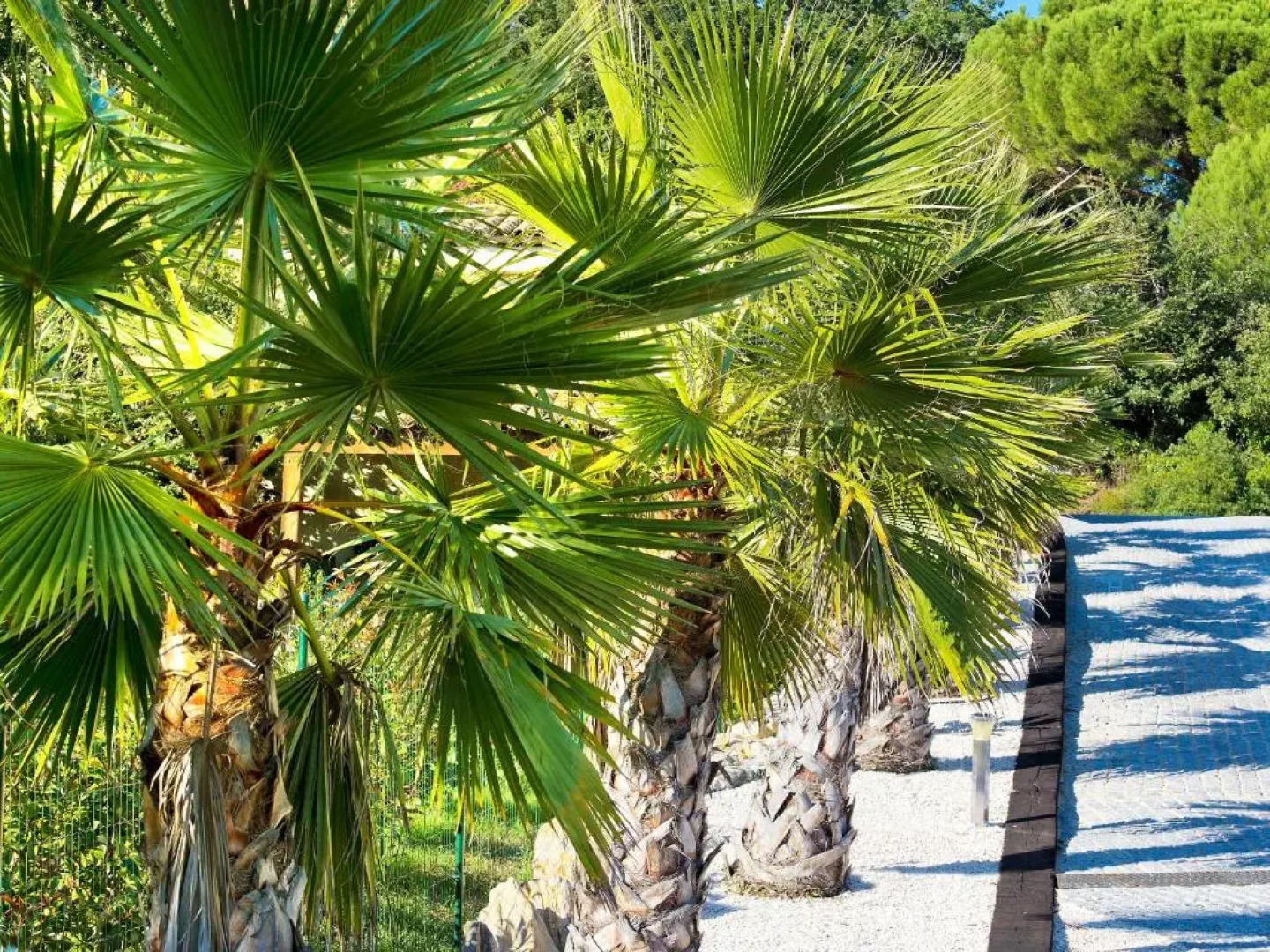 Appartement Villa Quietude