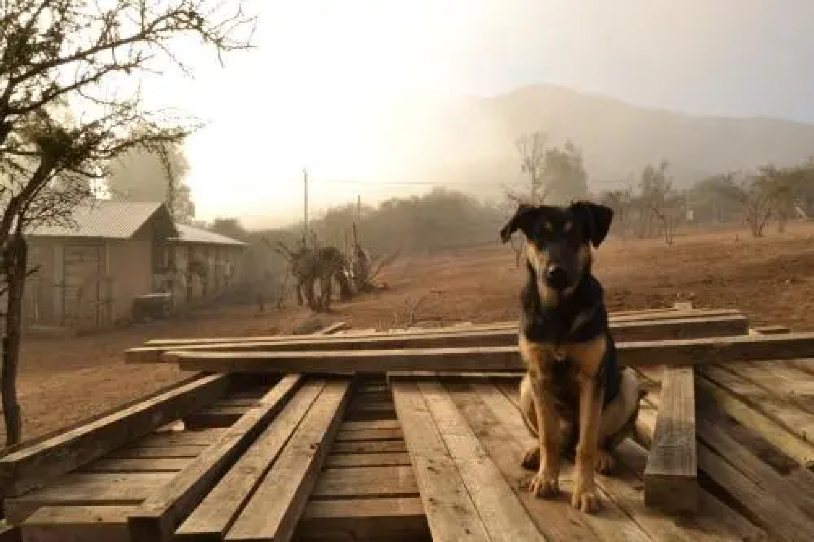 Campesano Ranch Cabañas