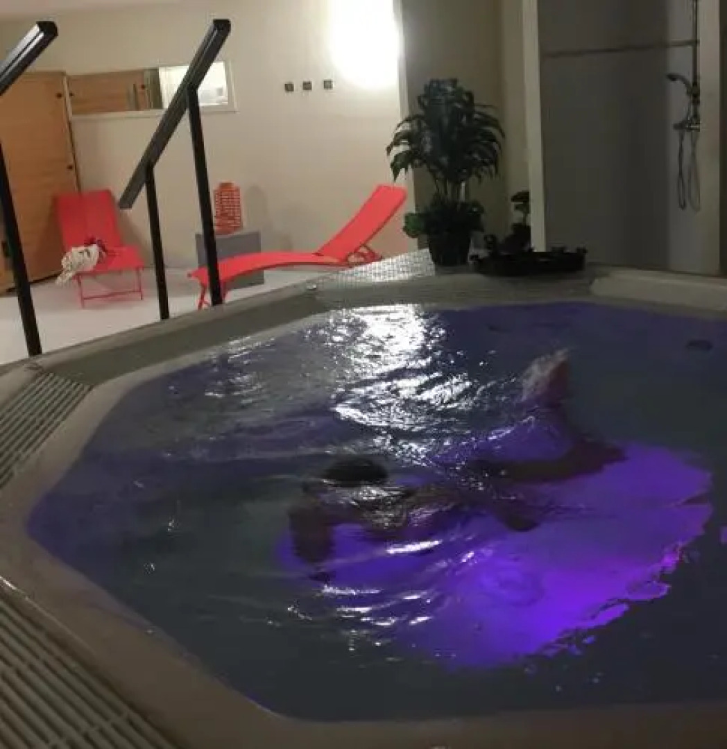 Hôtel le Telecabine