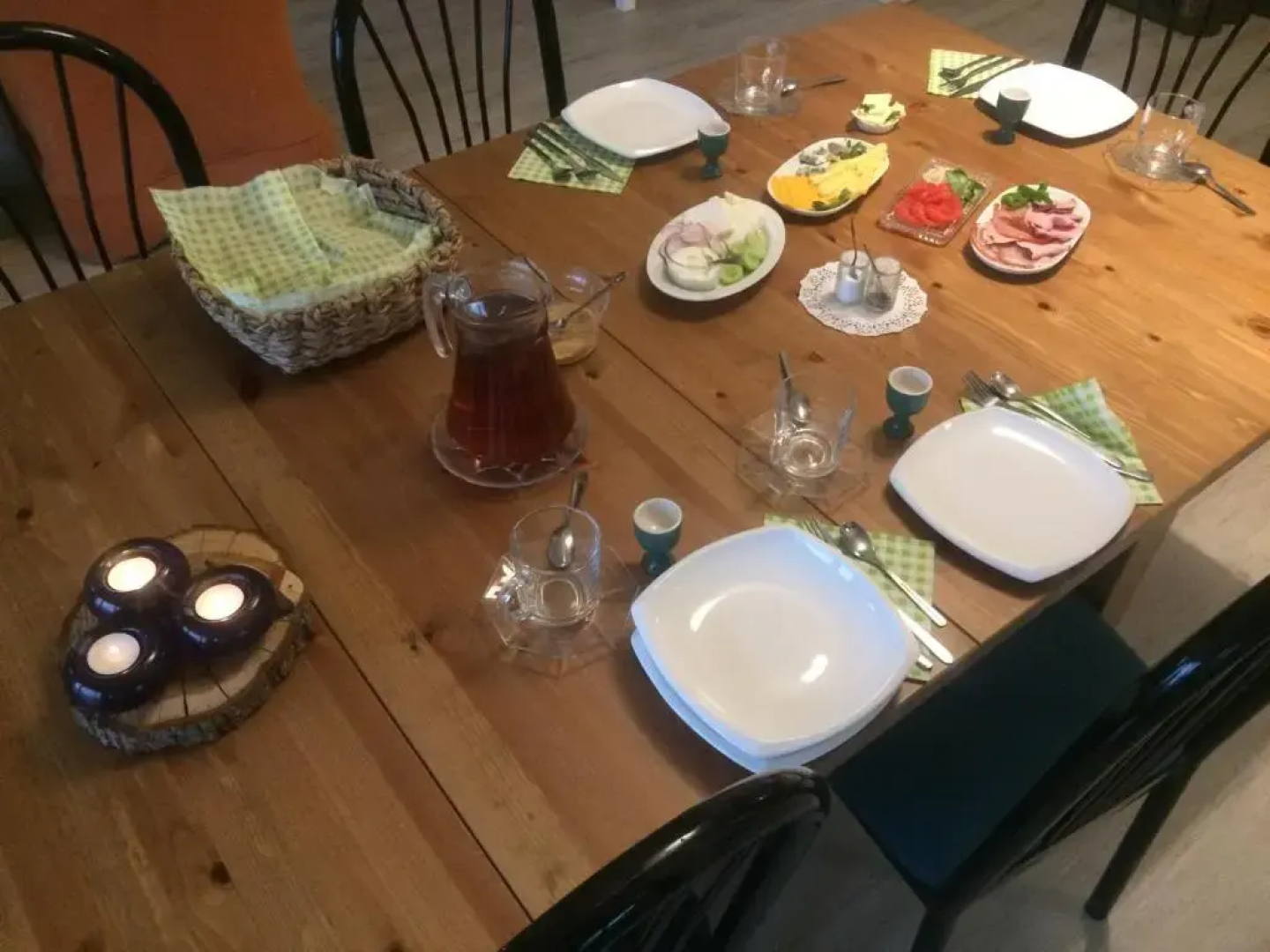 Chamedafne w Puszczy Kampinoskiej