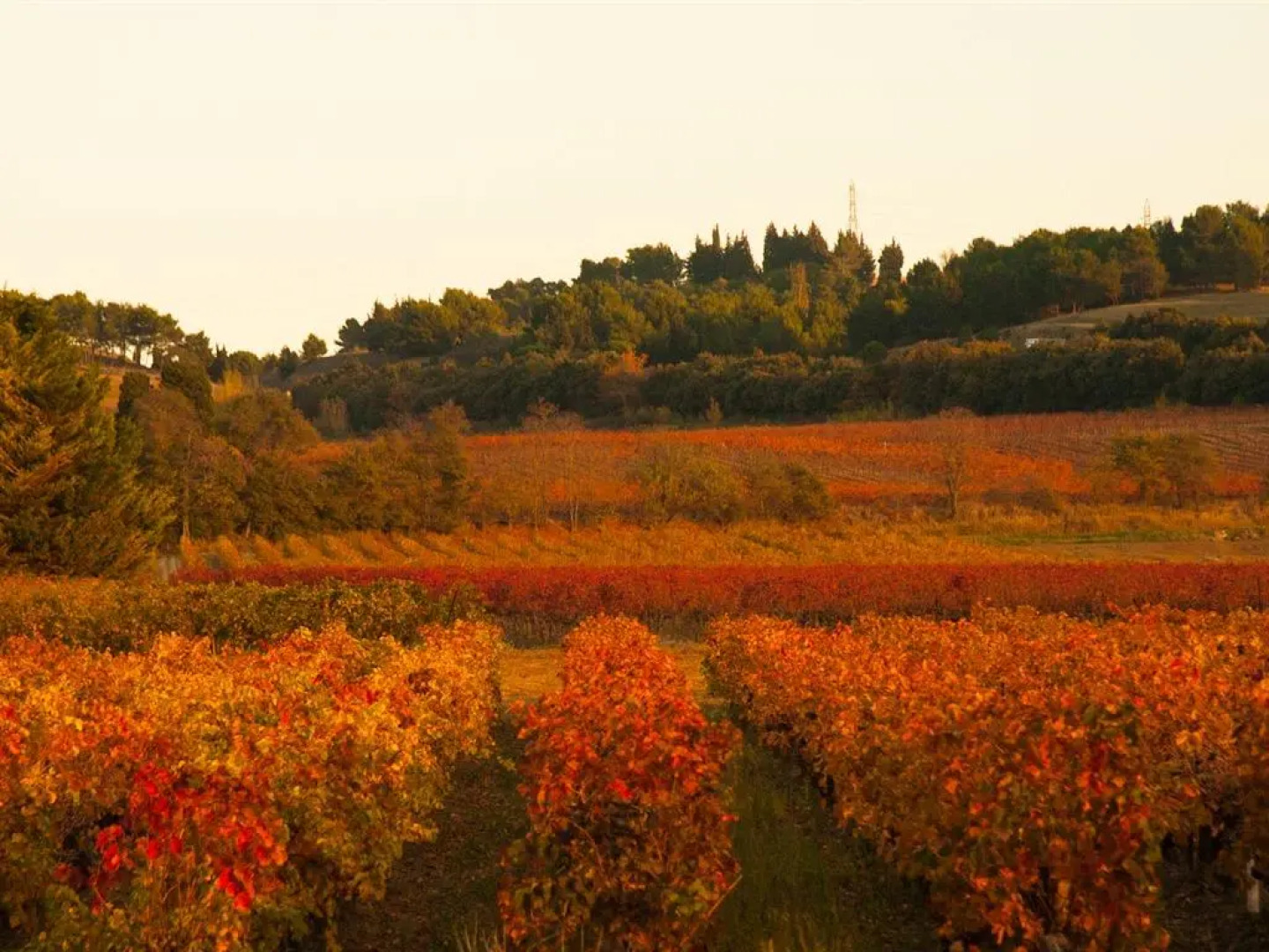 Les Balcons de Maragon