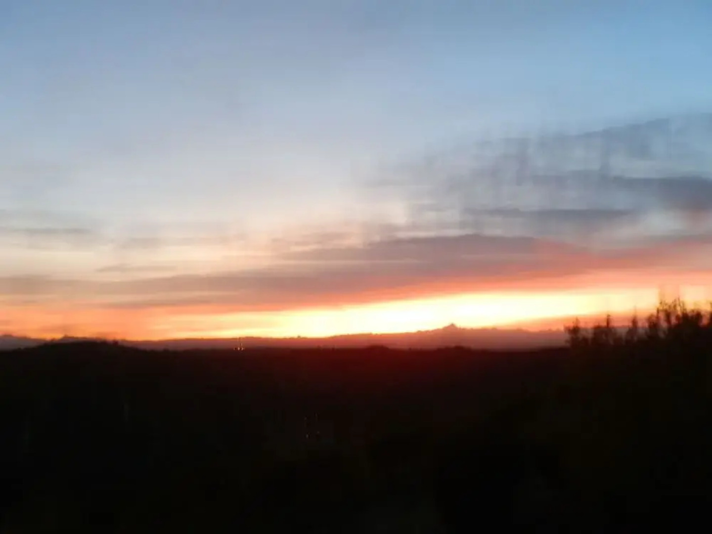 The Grape Pergola House