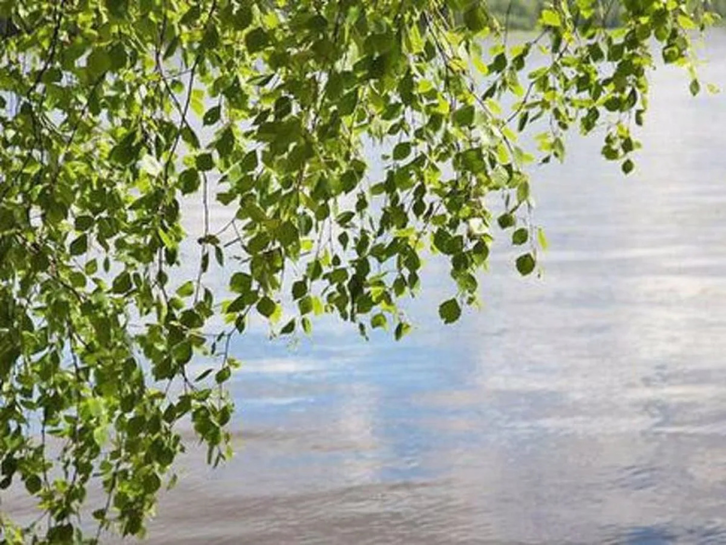 Holiday Home Joutsenlahti