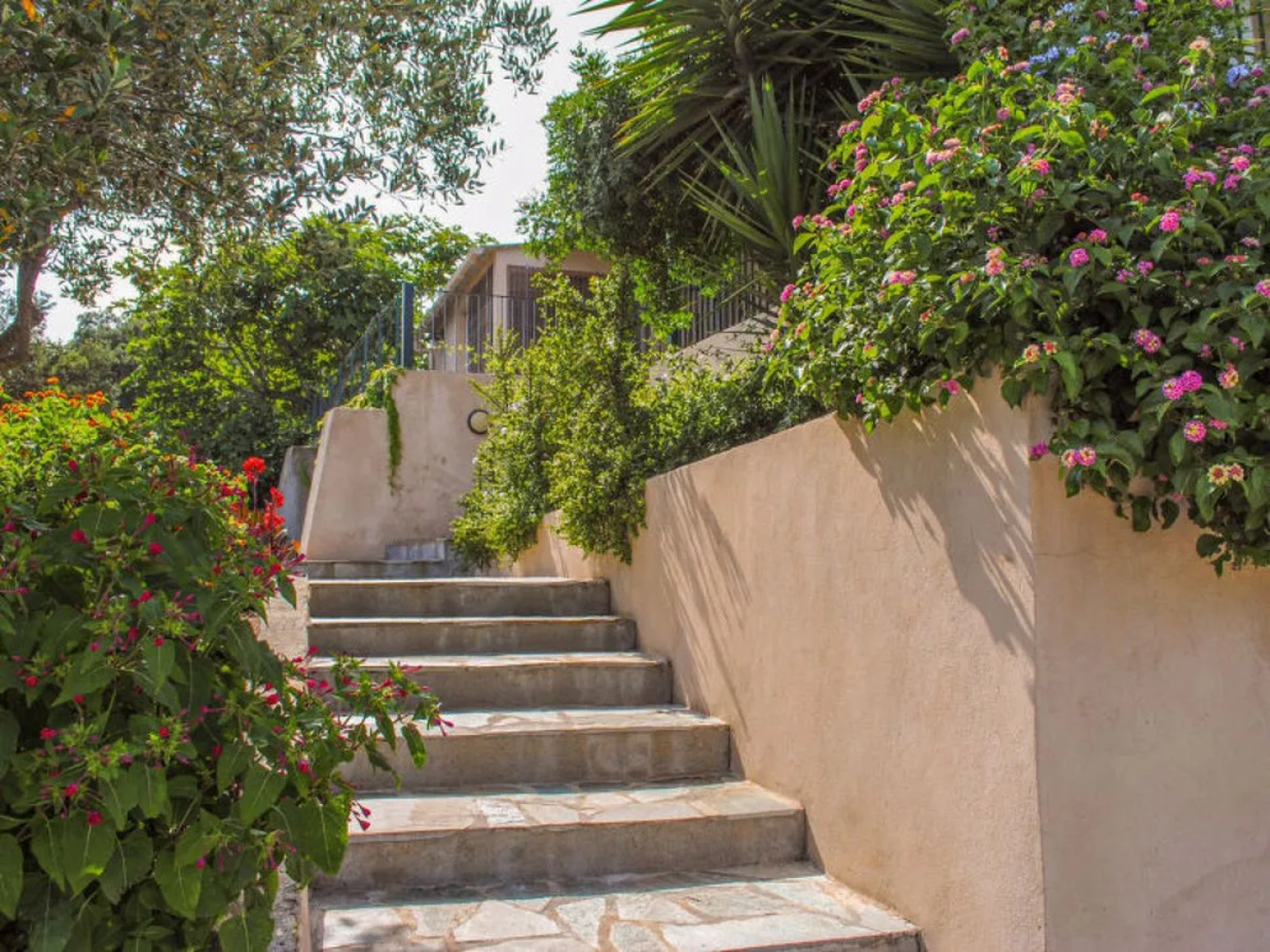 Rutili - Josee (CTN255)