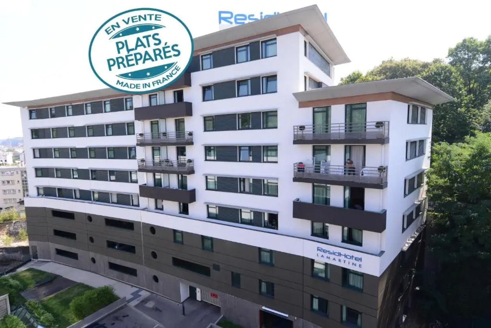 Residhotel Lyon Lamartine