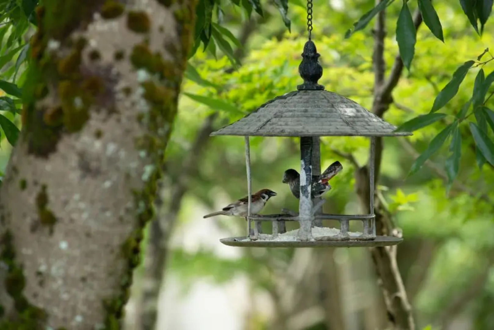 Awazuonsen Kitahachi