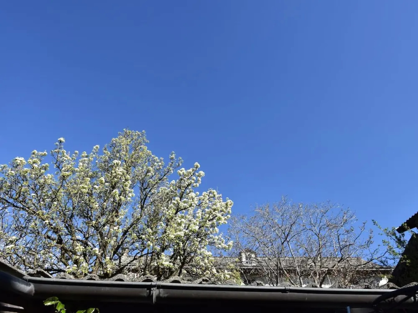 Belvilla by OYO Casa Labirinto