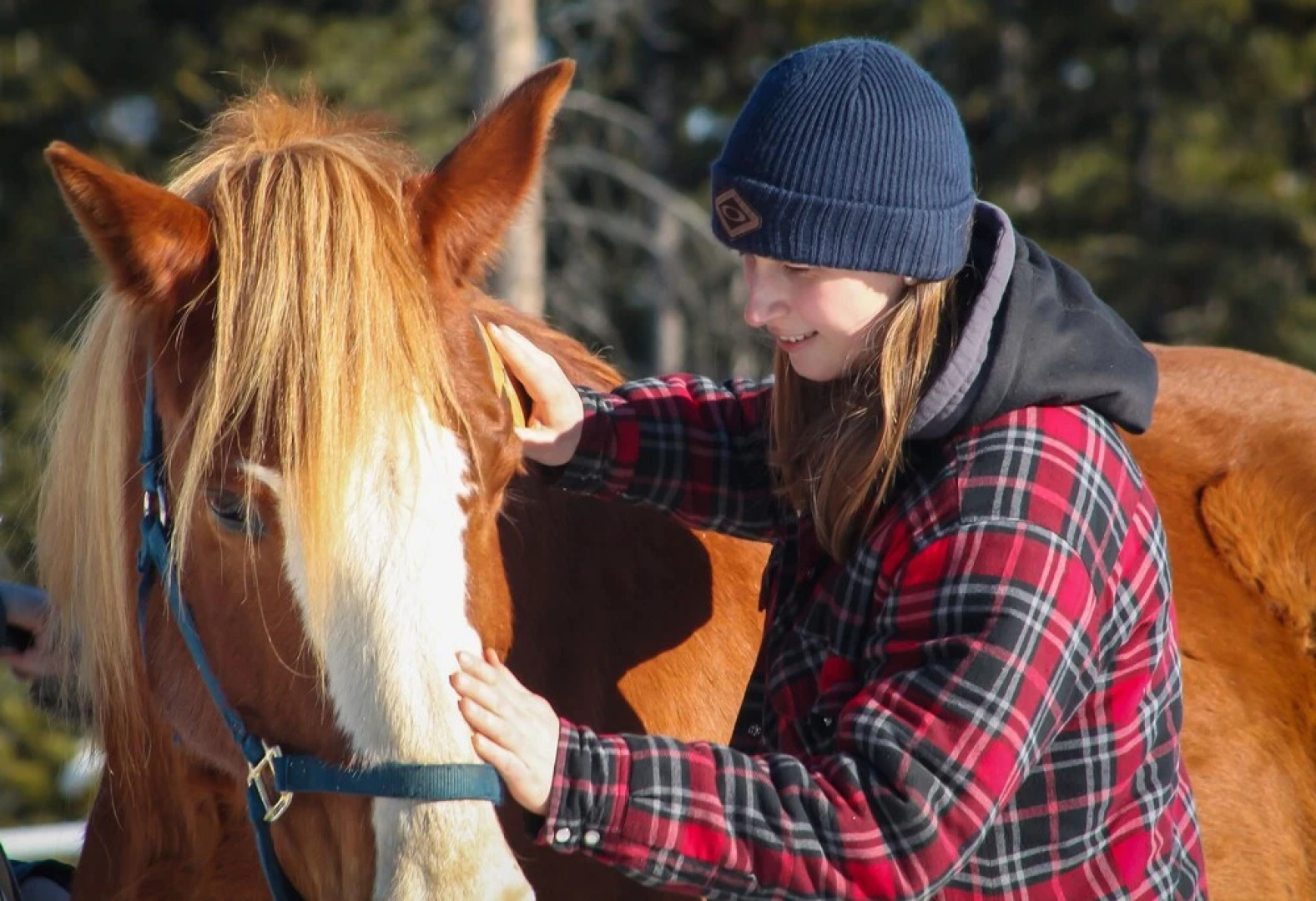 Red Cariboo Apartments