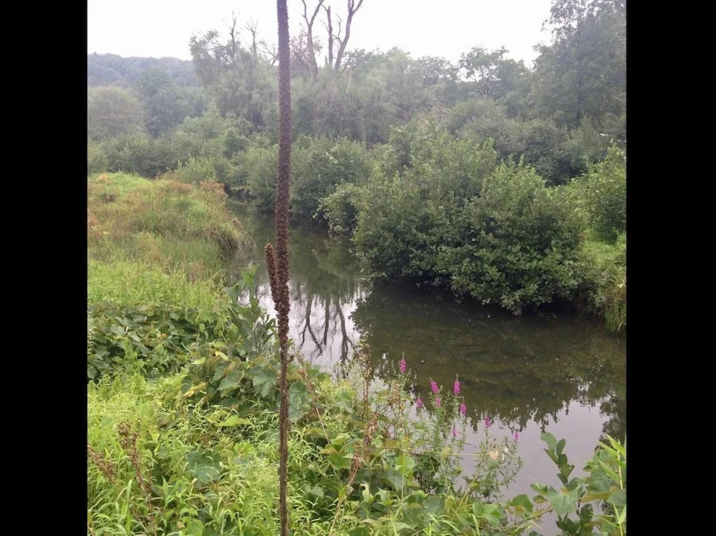 Tentrr - Clove Mountain Meadow