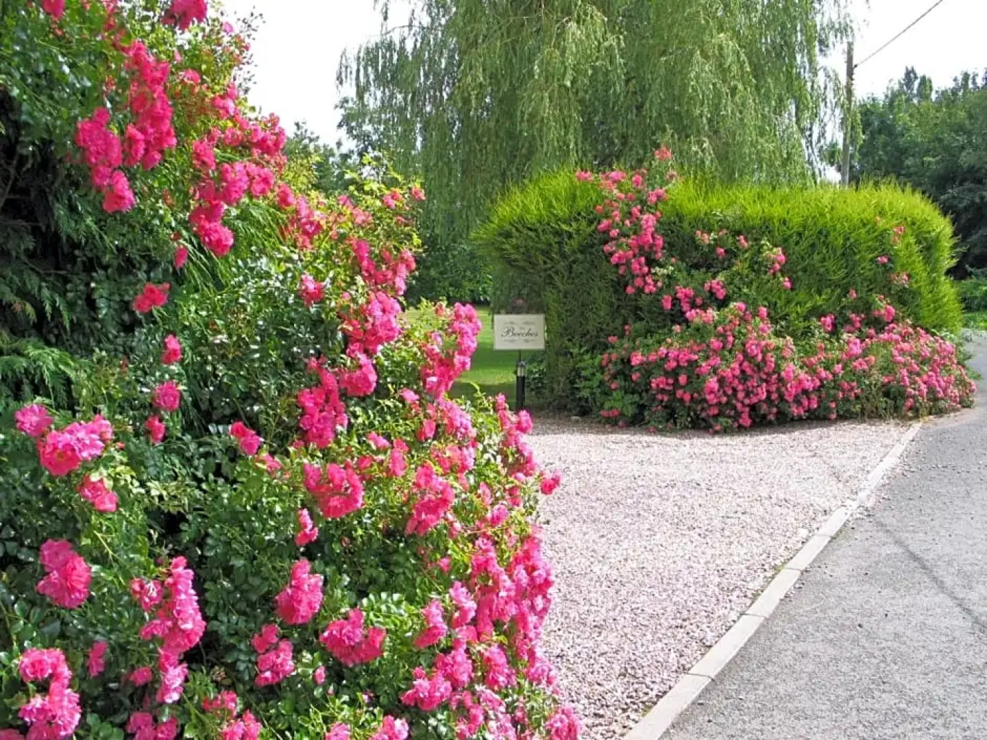 The Beeches Bed and Breakfast