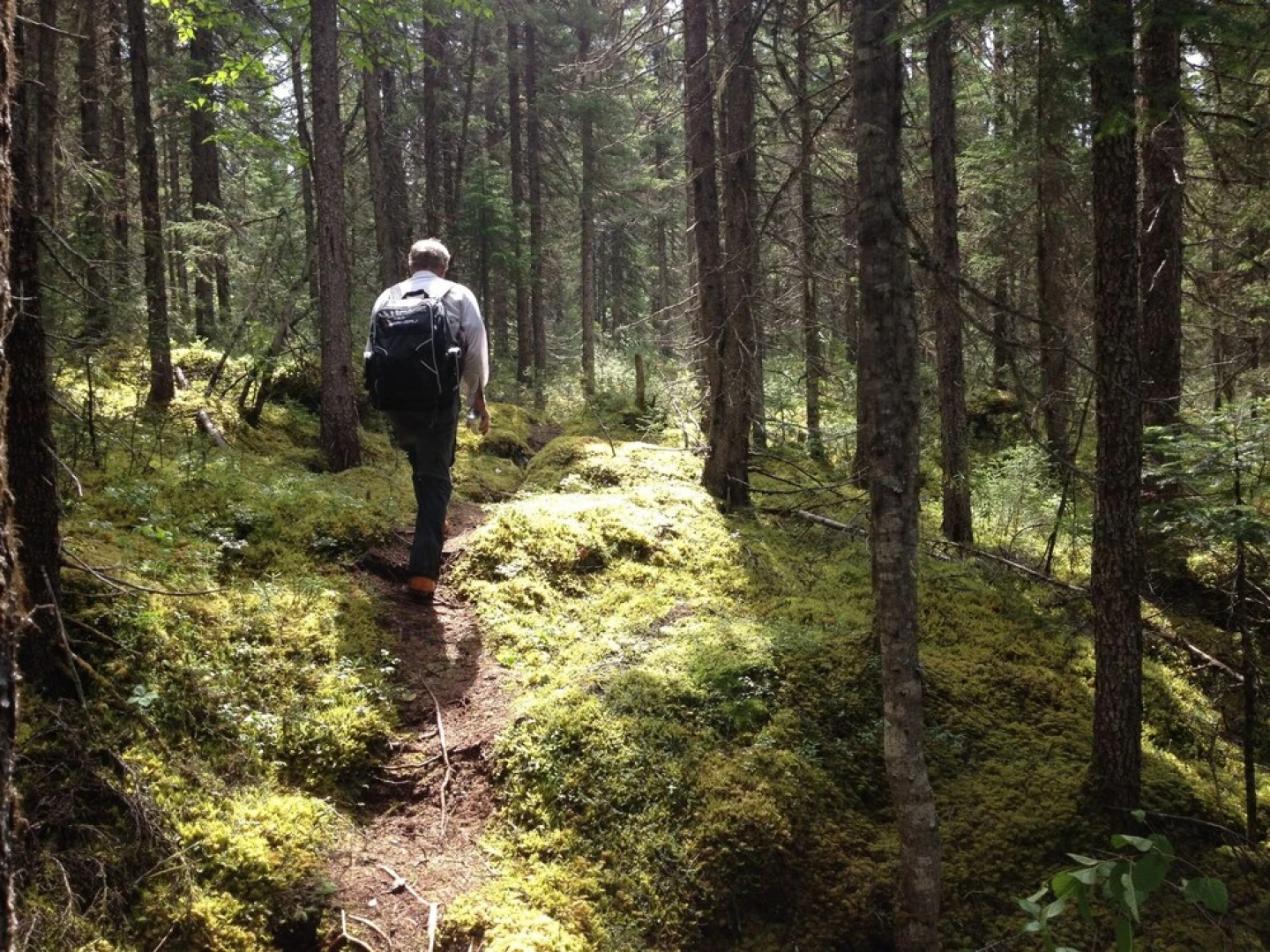 Auberge Jeunesse Monts Groulx Aventure