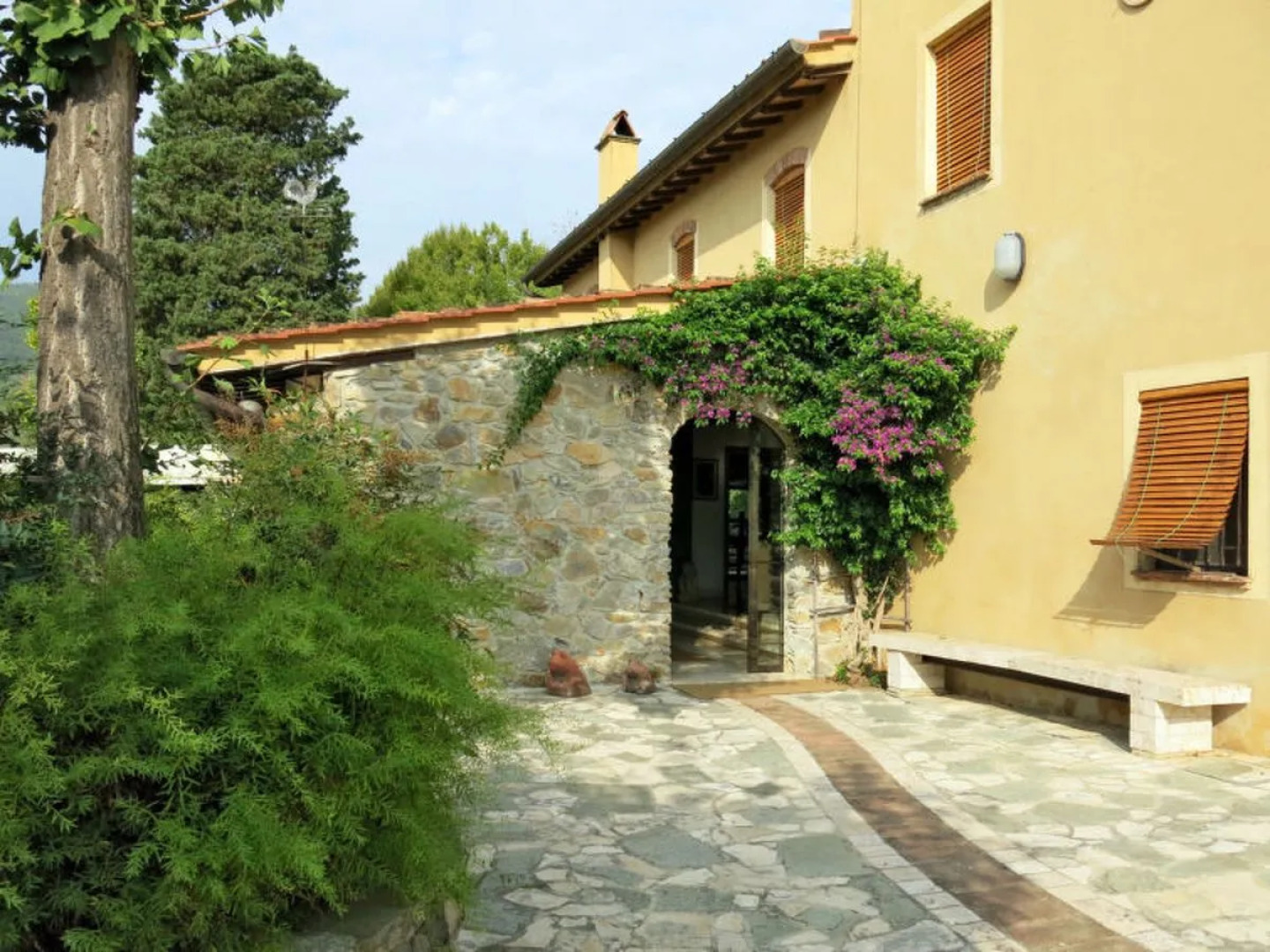 Maestraccio (BUT160)