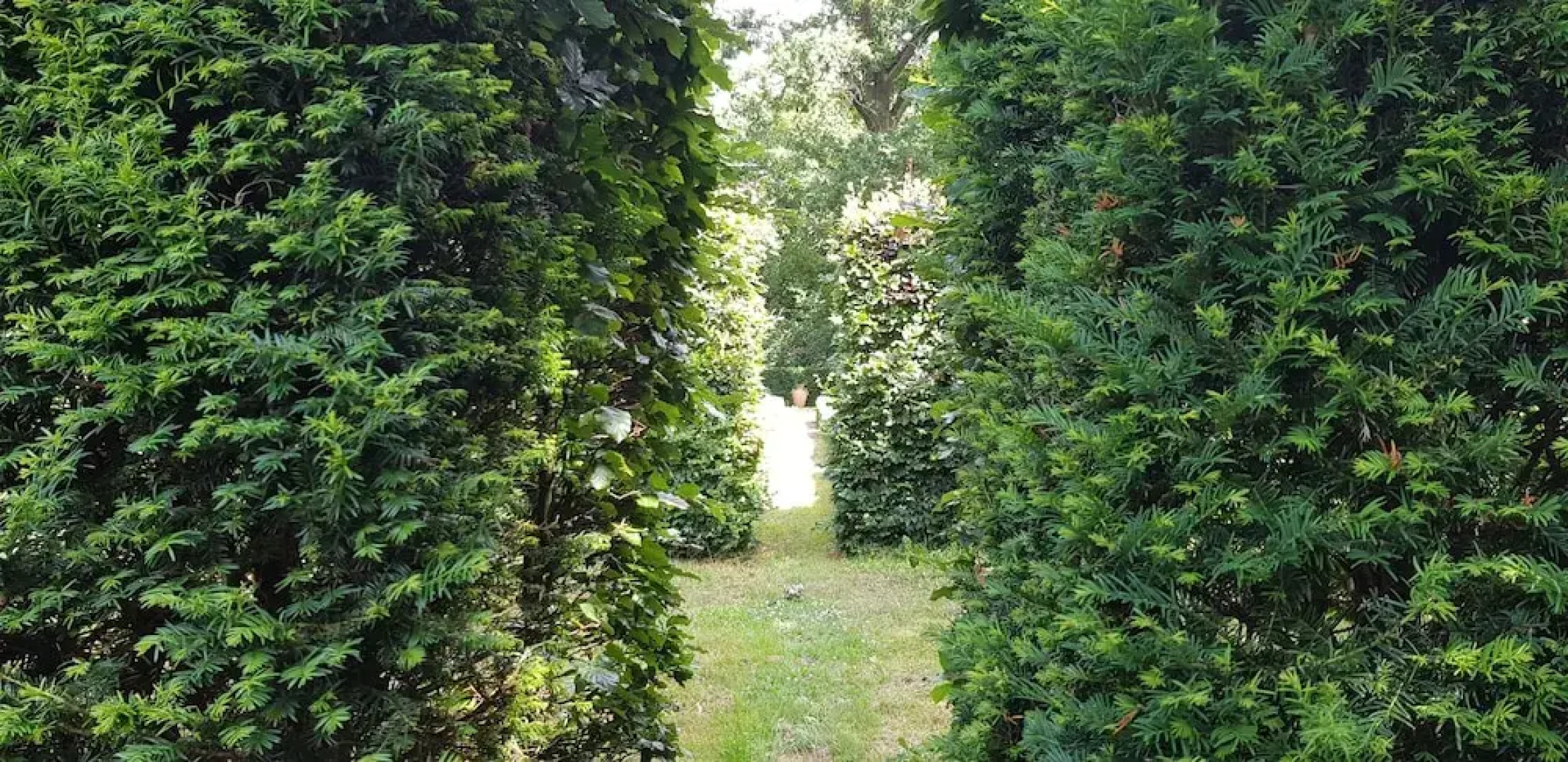 Schloßhotel Frauenmark