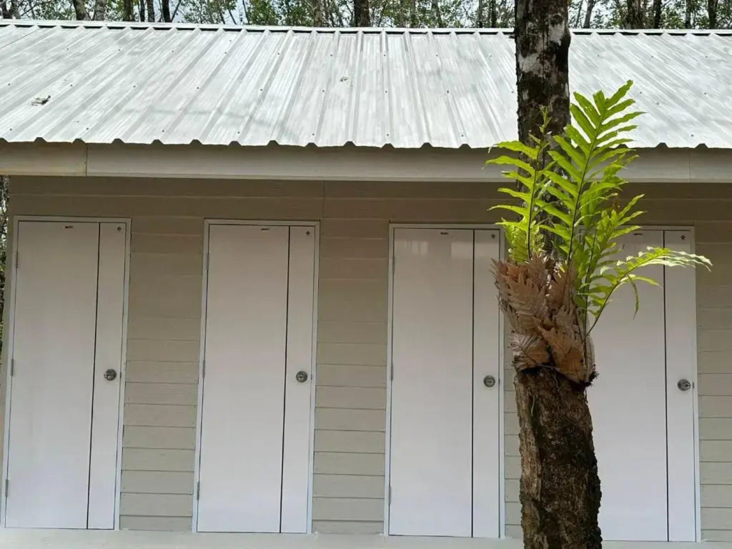 Rabbit Bungalow