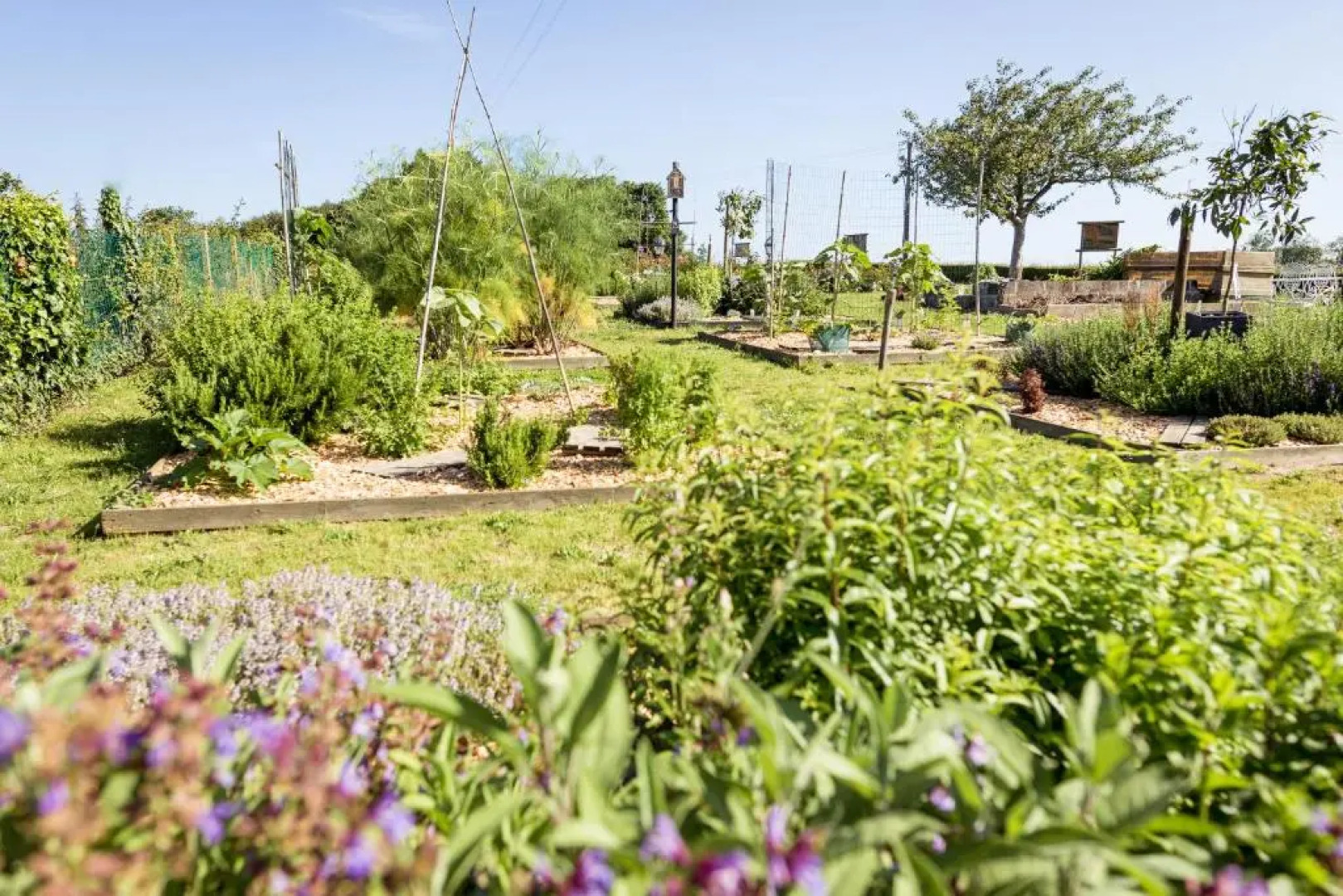 Domaine du Limonay, The Originals Collection