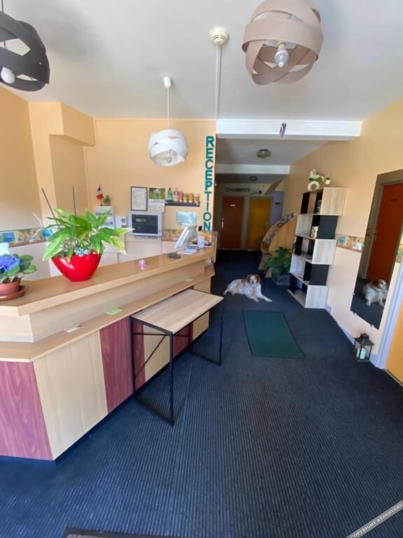 Hôtel Le Lyon Vert Commentry