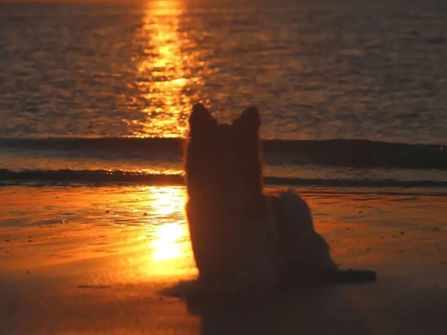 Attractive Holiday Home With Sauna in Ouddorp