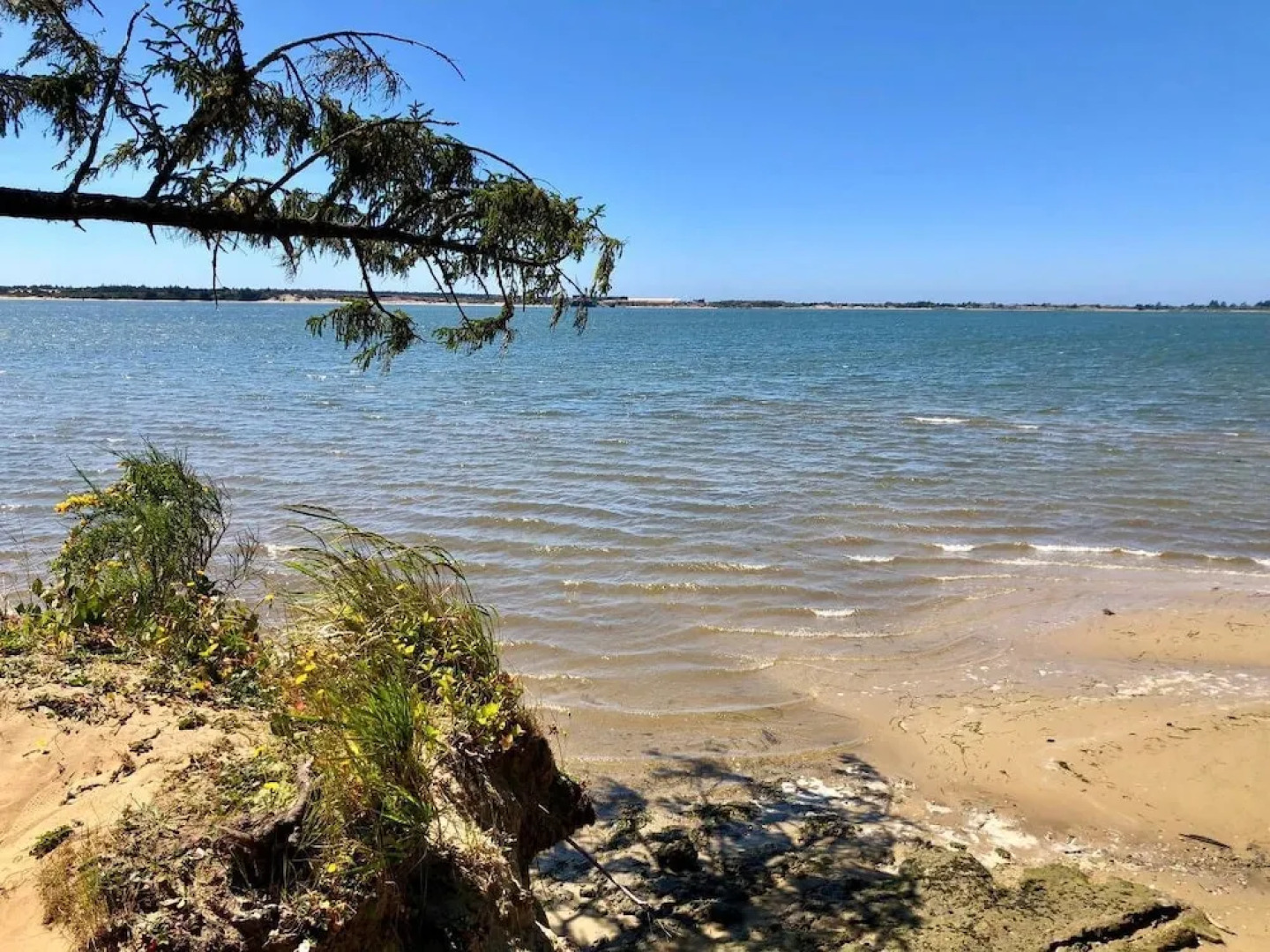 Seagate: Starboard~coos Bay~premiere Property