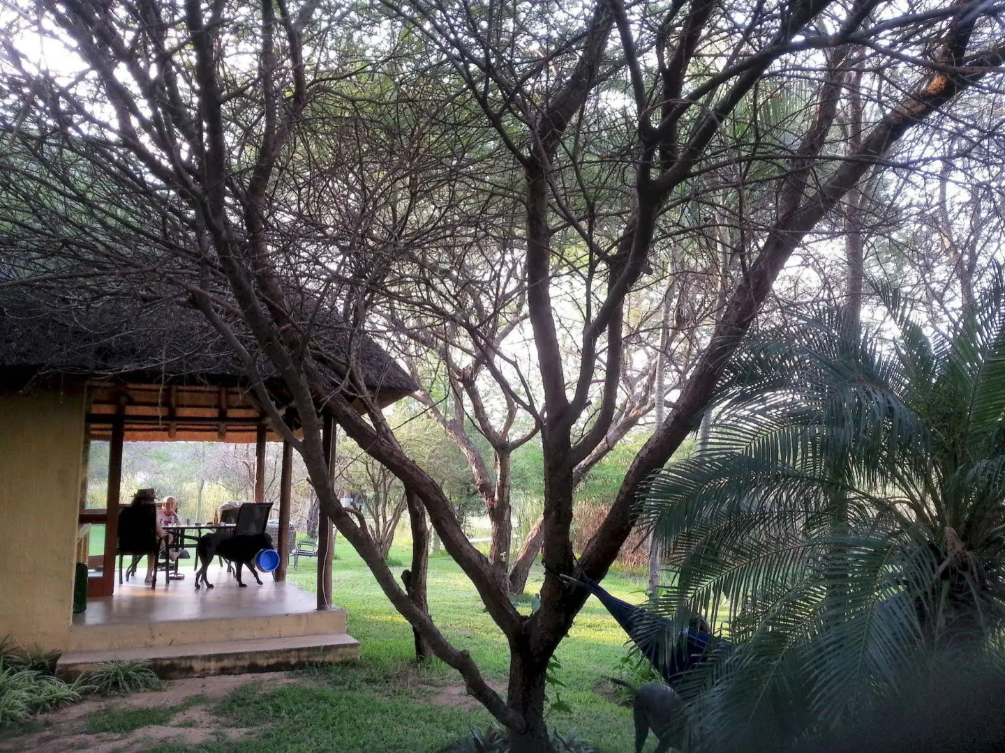The Bush Pub & Inn