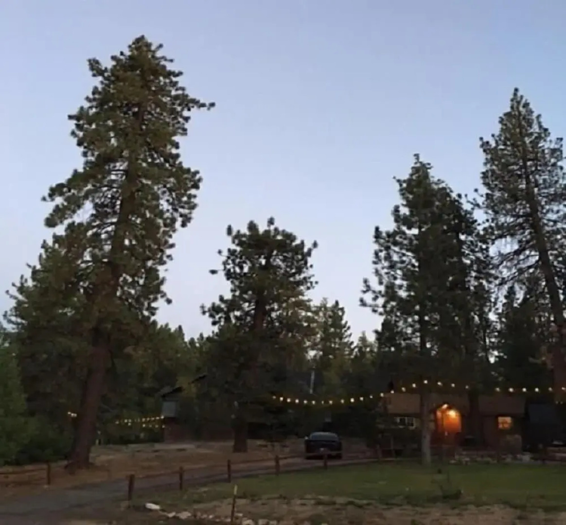 Golden Bear Cottages