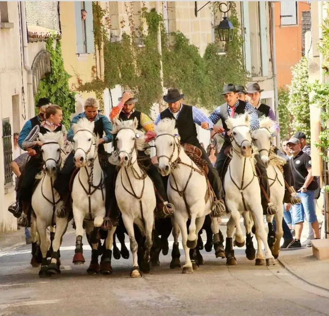 La Maison du Trident en Camargue Piscine et Jacuzzi
