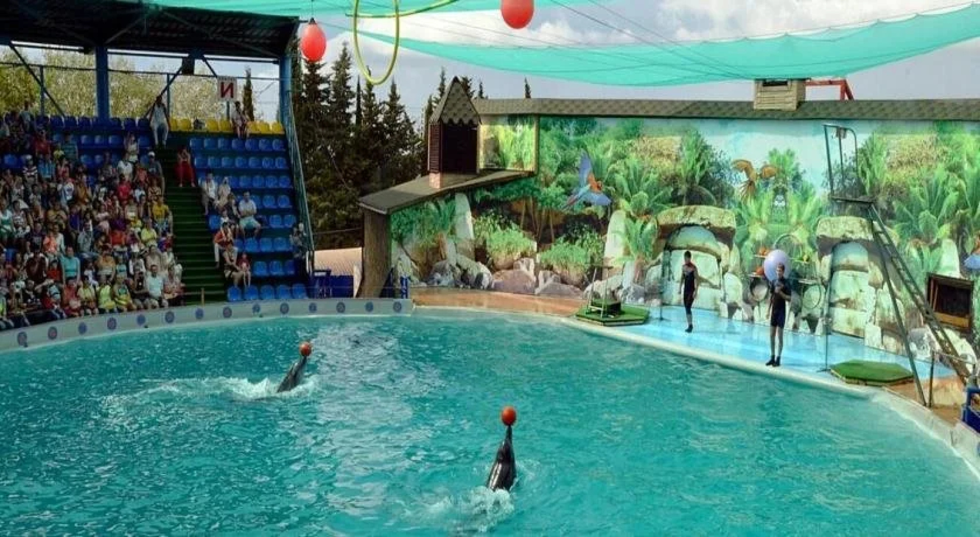 Paradise на Ленина