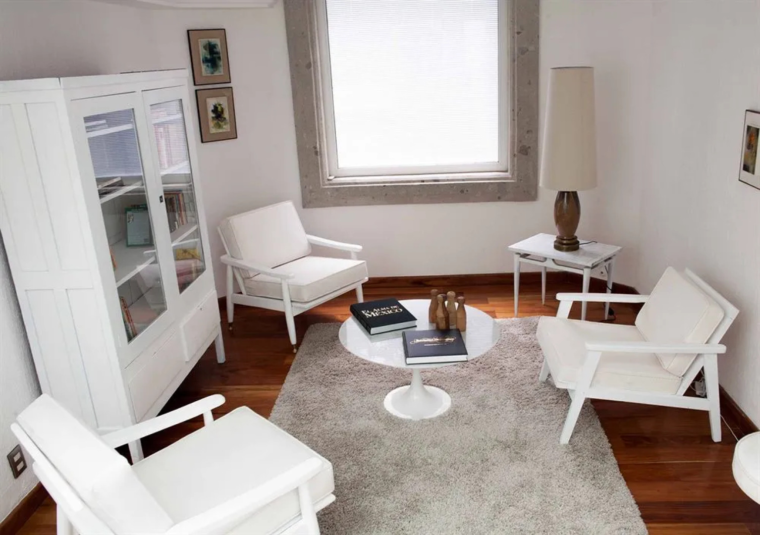 Pug Seal B&B Coyoacan