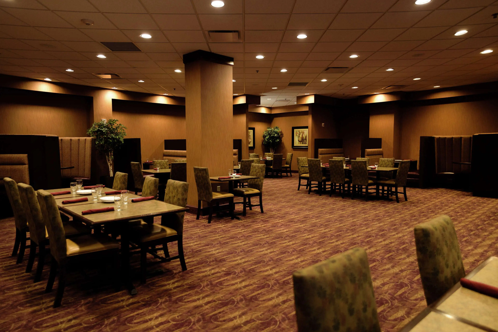 Embassy Suites by Hilton Minneapolis North